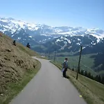 Schweiz ,lenk Ferienwohnung,kinderfreundl,seniorenfreundlich *