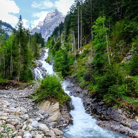 Schweiz ,lenk Ferienwohnung,kinderfreundl,seniorenfreundlich شقة *