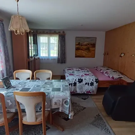 Schweiz ,lenk Ferienwohnung,kinderfreundl,seniorenfreundlich דירה *