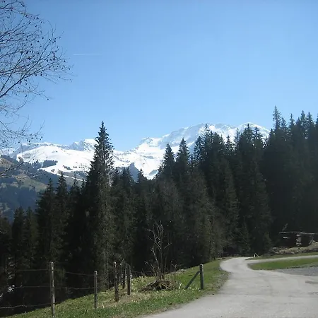 Schweiz ,lenk Ferienwohnung,kinderfreundl,seniorenfreundlich Lenk