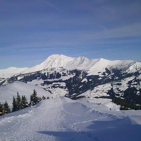 Schweiz ,lenk Ferienwohnung,kinderfreundl,seniorenfreundlich Apartment Lenk
