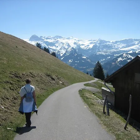 Apartment Schweiz ,lenk Ferienwohnung,kinderfreundl,seniorenfreundlich *