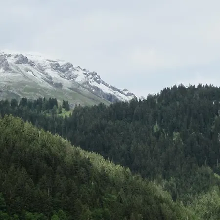 Schweiz ,lenk Ferienwohnung,kinderfreundl,seniorenfreundlich Διαμέρισμα *