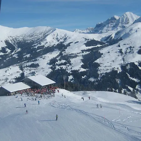 Διαμέρισμα Schweiz ,lenk Ferienwohnung,kinderfreundl,seniorenfreundlich Lenk