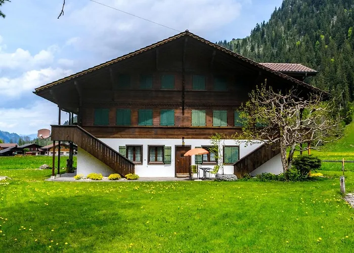 Schweiz ,lenk Ferienwohnung,kinderfreundl,seniorenfreundlich * לנק