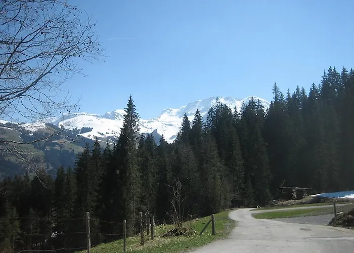 Schweiz ,lenk Ferienwohnung,kinderfreundl,seniorenfreundlich לנק