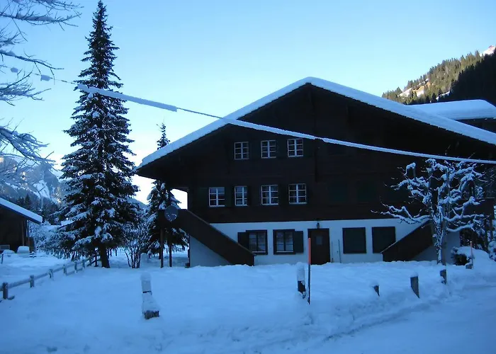 Schweiz ,lenk Ferienwohnung,kinderfreundl,seniorenfreundlich *