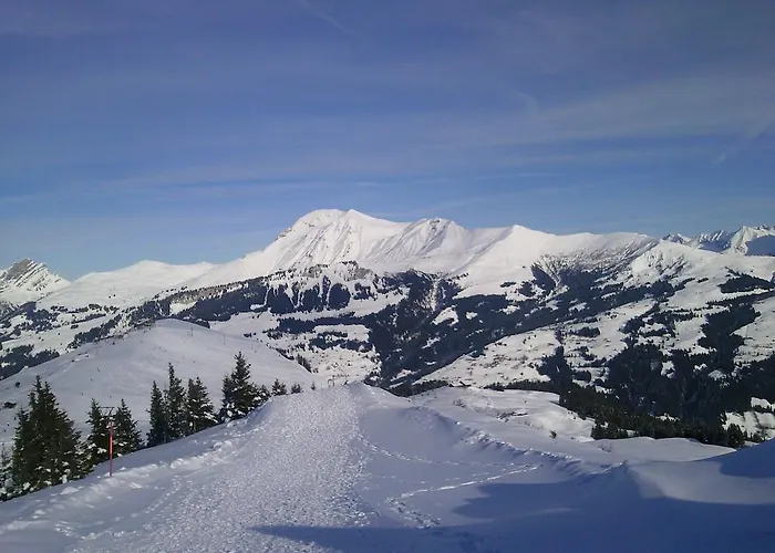 Schweiz ,lenk Ferienwohnung,kinderfreundl,seniorenfreundlich Apartman Lenk