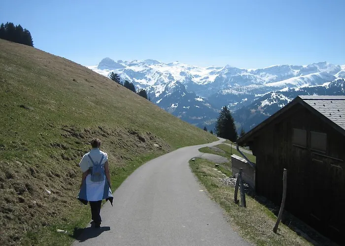 Apartman Schweiz ,lenk Ferienwohnung,kinderfreundl,seniorenfreundlich *