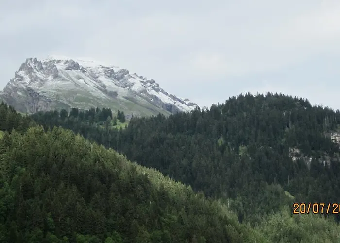 Schweiz ,lenk Ferienwohnung,kinderfreundl,seniorenfreundlich דירה *