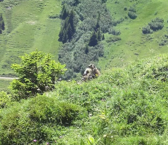 Schweiz ,lenk Ferienwohnung,kinderfreundl,seniorenfreundlich Apartman