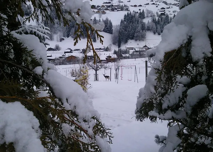 Schweiz ,lenk Ferienwohnung,kinderfreundl,seniorenfreundlich Apartman Lenk