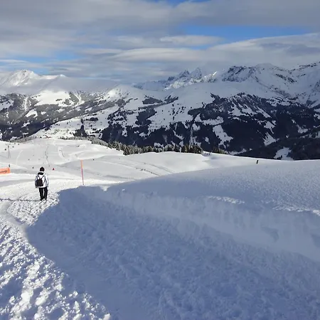 Appartamento Schweiz ,lenk Ferienwohnung,kinderfreundl,seniorenfreundlich *