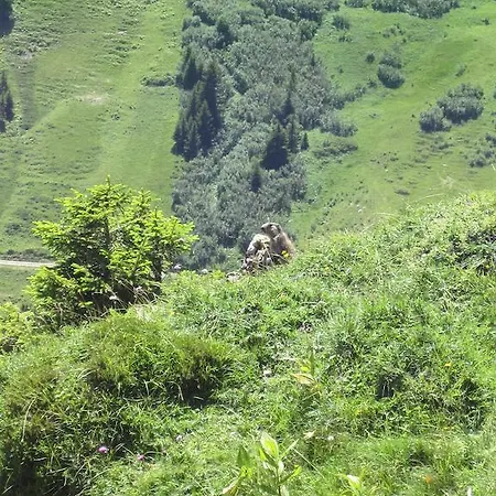 Schweiz ,lenk Ferienwohnung,kinderfreundl,seniorenfreundlich Appartamento