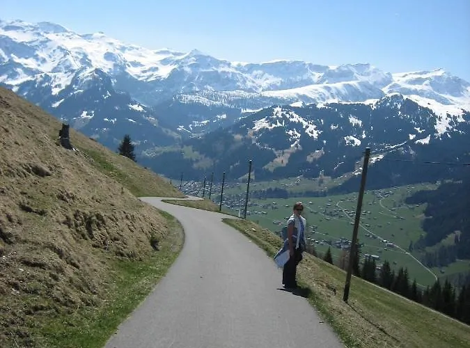 Schweiz ,lenk Ferienwohnung,kinderfreundl,seniorenfreundlich *