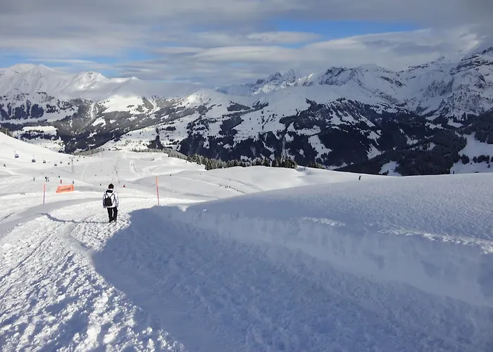 Apartamento Schweiz ,lenk Ferienwohnung,kinderfreundl,seniorenfreundlich *