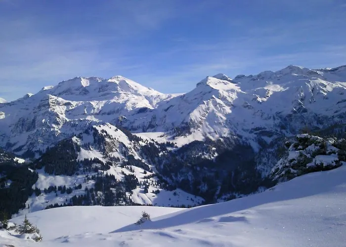 Apartamento Schweiz ,lenk Ferienwohnung,kinderfreundl,seniorenfreundlich *